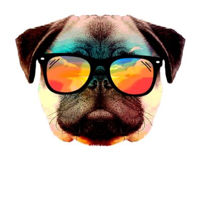 Summer pug