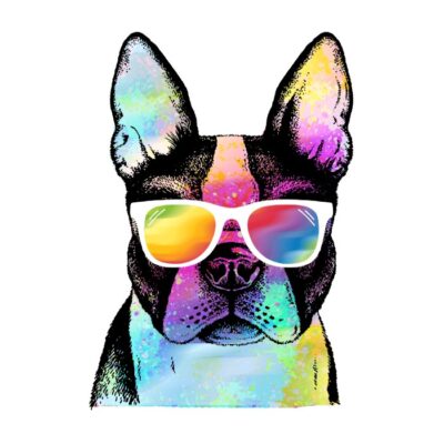 Rainbow pug