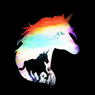 Magical unicorn