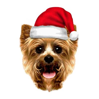 holiday house dog