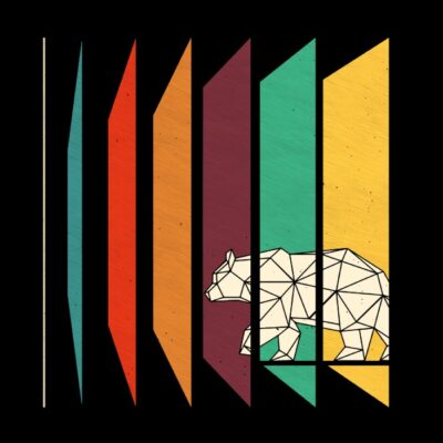 Geometry bear
