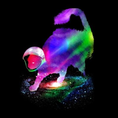 Cosmos cat