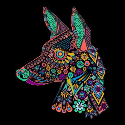 Xolo Colourful denoise