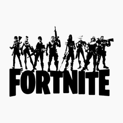 Fortnite team