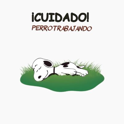 snoopy durmiendo, cuidado perro trabajando