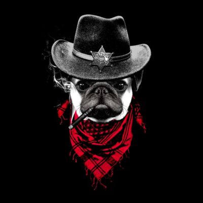 Western pug