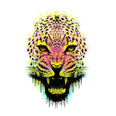 The panther