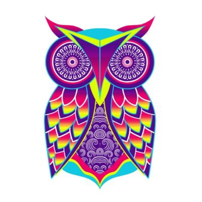 The owl