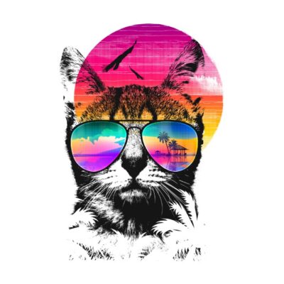 Summer cat