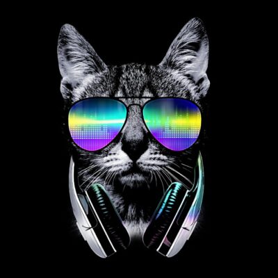 Music lover cat