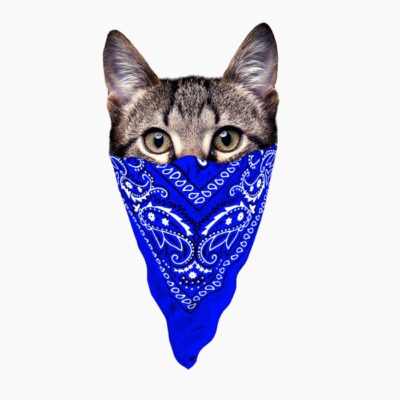 Gangster cat v2