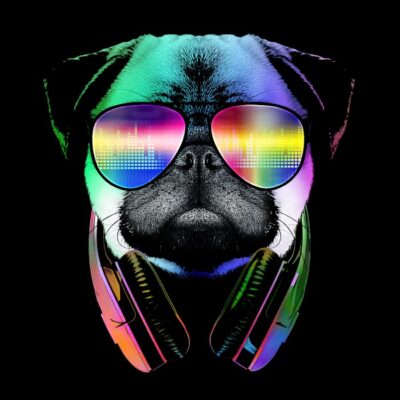 Dj pug