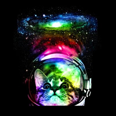 Cosmos kitten1