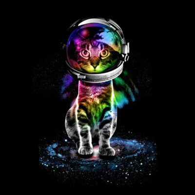 Codmos kitten