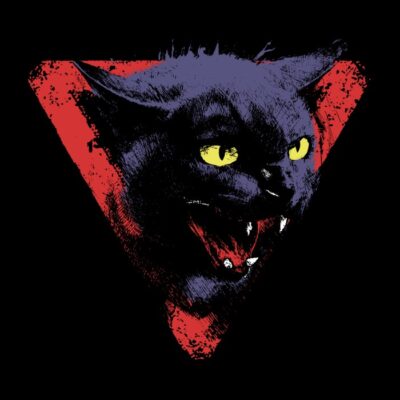 Black cat