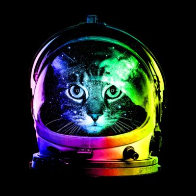 Astronaut cat