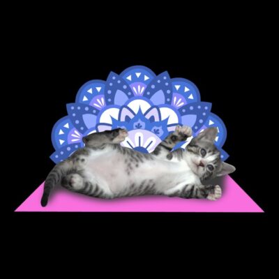 03 Retro Yoga Cat