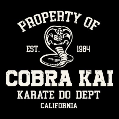 PROPERTY OF cobra kai tiendas