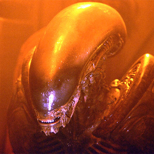 Imagen del xenomorfo en alien 3.