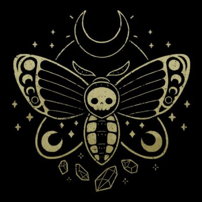 Deaths Head Moth