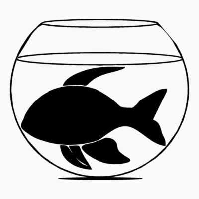 Fishbowl at night