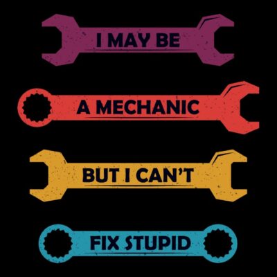 Can't Fix Stupid