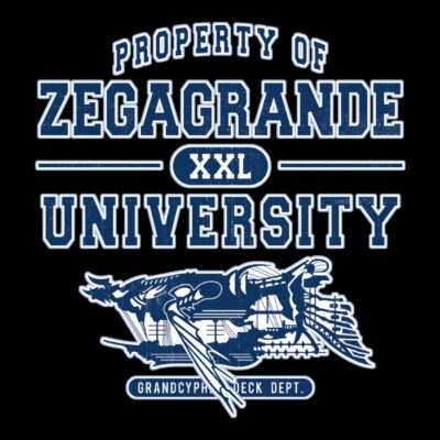 Zegagrande University