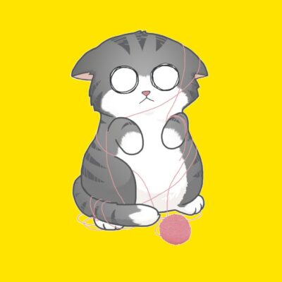 Confused Kitty Cat