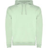 VERDE MIST