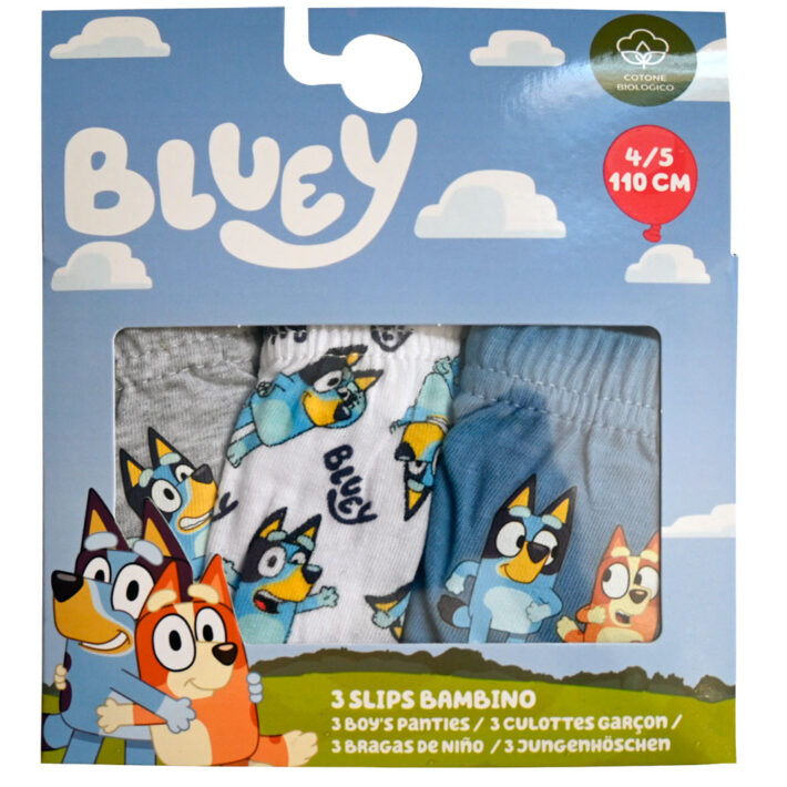 Pack de 3 slips niño bluey bluey regalo original