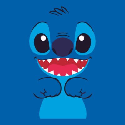 Stitch face