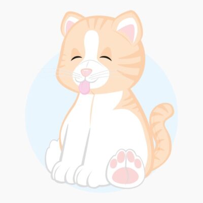 Gato de peluche