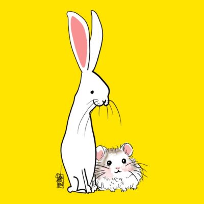Conejos