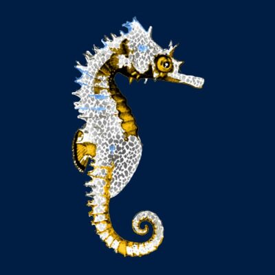 Caballito
